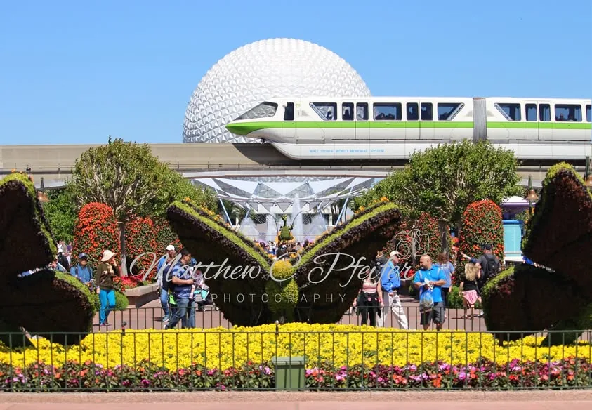 Wanderline